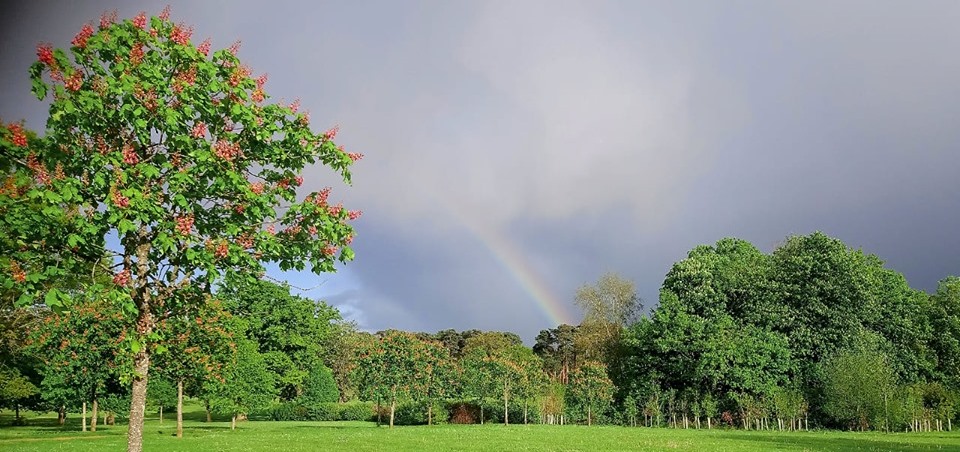 Rainbow at The Parks